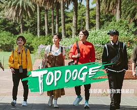 麻豆传媒社区《TOP DOG》免费在线观看