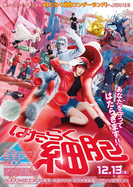 麻豆传媒映画《工作细胞 真人版 はたらく細胞》免费在线观看
