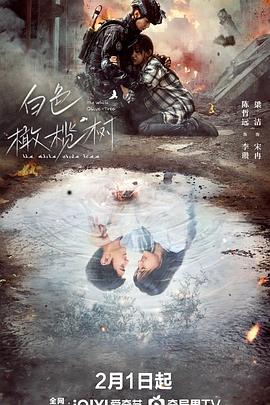 麻豆传媒高清《白色橄榄树》免费在线观看