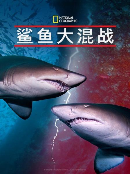 麻豆传媒社区《鲨鱼大混战》免费在线观看