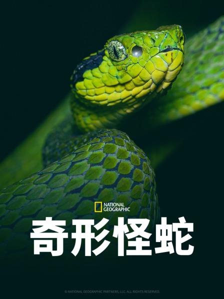 麻豆传媒高清《奇形怪蛇》免费在线观看