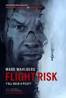 麻豆传媒高清《插翅难飞 Flight Risk》免费在线观看